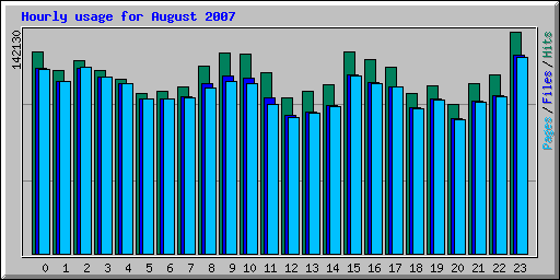 Hourly usage for August 2007