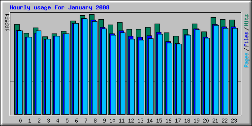 Hourly usage for January 2008