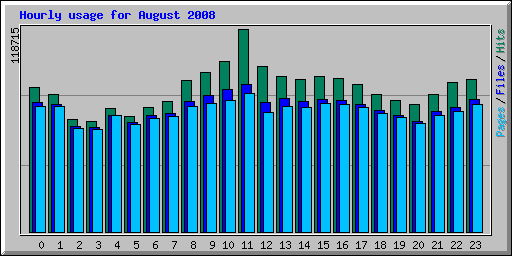 Hourly usage for August 2008