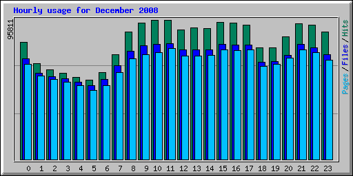 Hourly usage for December 2008