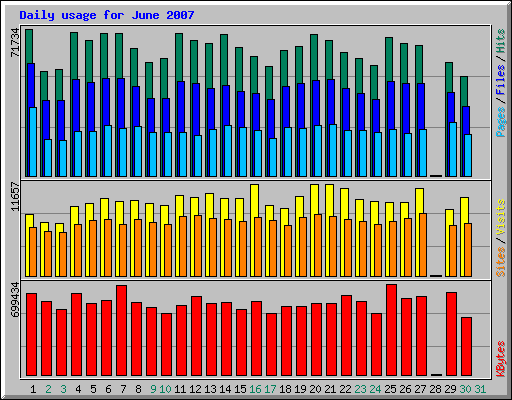 Daily usage for June 2007