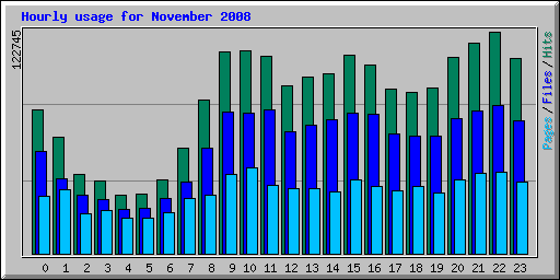 Hourly usage for November 2008