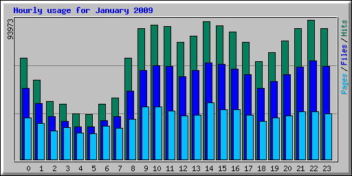 Hourly usage for January 2009