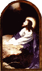 Ϳص׽Үա