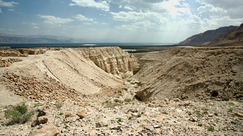 hadavar image