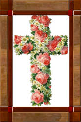 ���ֱz�t�ϧּ֡I�@�D�C�q��֤��z�I