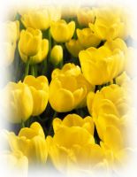 ��}�Ḩ�ڭ̳��ñ��A��p�O�ڭ̪��ͩR�H