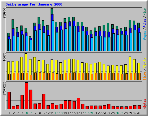 Daily usage for January 2008