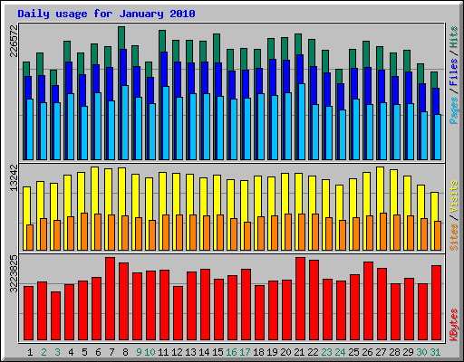 Daily usage for January 2010