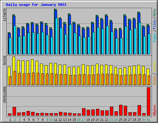 Daily usage for January 2021