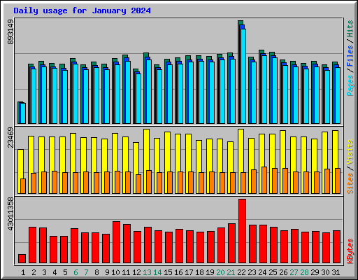 Daily usage for January 2024