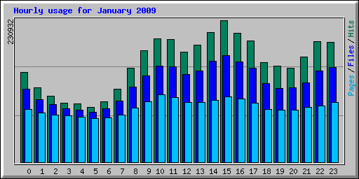 Hourly usage for January 2009