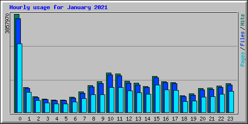 Hourly usage for January 2021