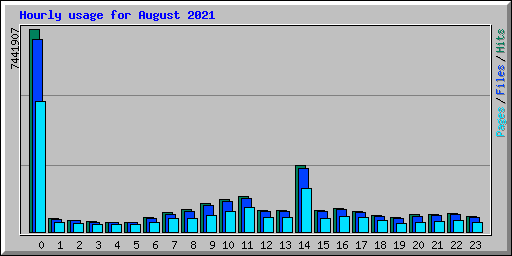 Hourly usage for August 2021