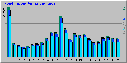 Hourly usage for January 2023