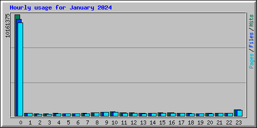 Hourly usage for January 2024