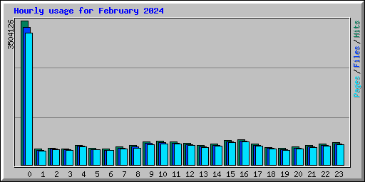 Hourly usage for February 2024