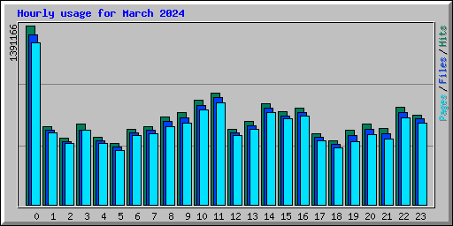 Hourly usage for March 2024