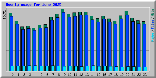 Hourly usage for June 2025