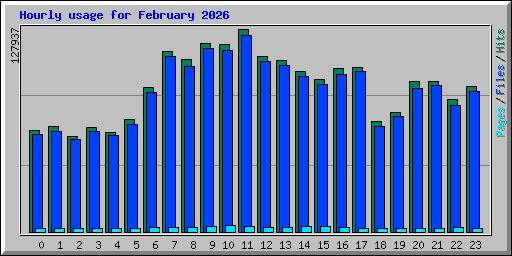 Hourly usage for February 2026