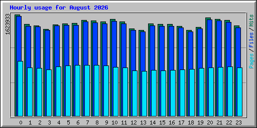 Hourly usage for August 2026
