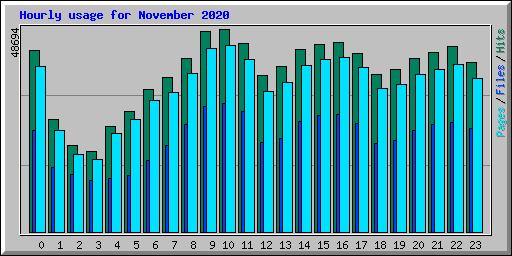 Hourly usage for November 2020