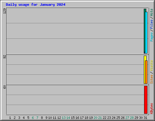 Daily usage for January 2024