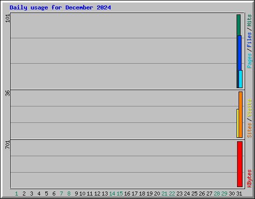 Daily usage for December 2024