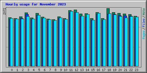 Hourly usage for November 2023