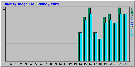 Hourly usage for January 2024