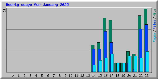 Hourly usage for January 2025