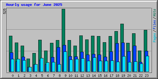 Hourly usage for June 2025
