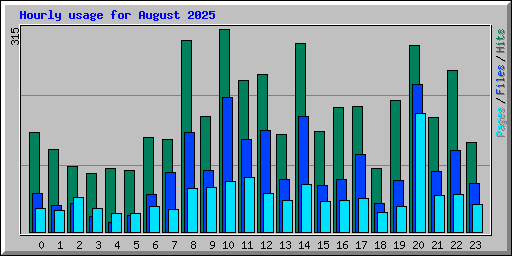 Hourly usage for August 2025