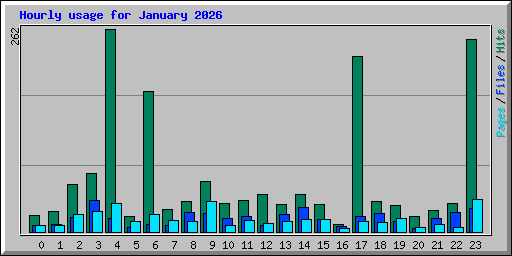 Hourly usage for January 2026