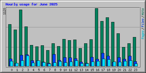 Hourly usage for June 2025