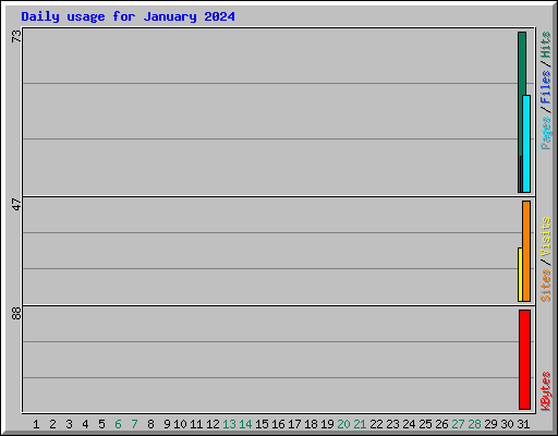 Daily usage for January 2024