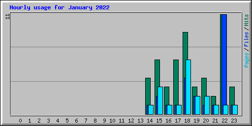 Hourly usage for January 2022