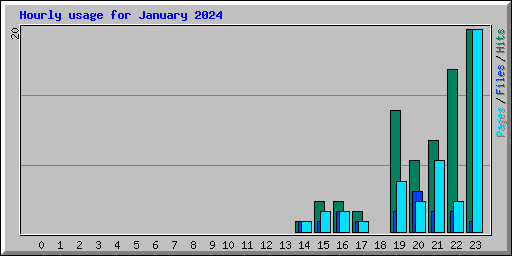 Hourly usage for January 2024