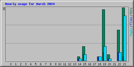 Hourly usage for March 2024