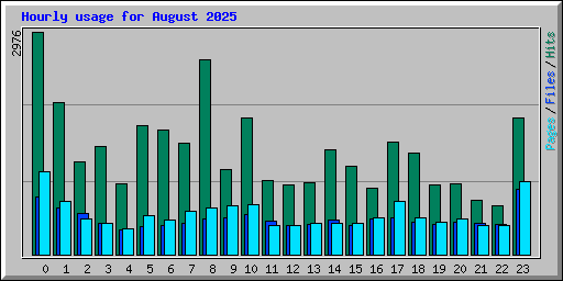 Hourly usage for August 2025