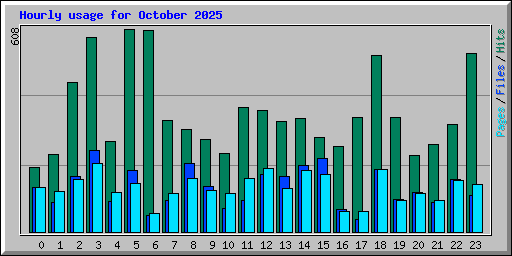 Hourly usage for October 2025