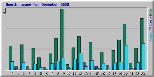 Hourly usage for December 2025
