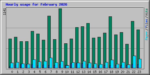Hourly usage for February 2026