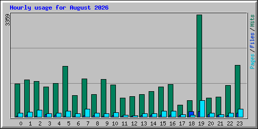 Hourly usage for August 2026