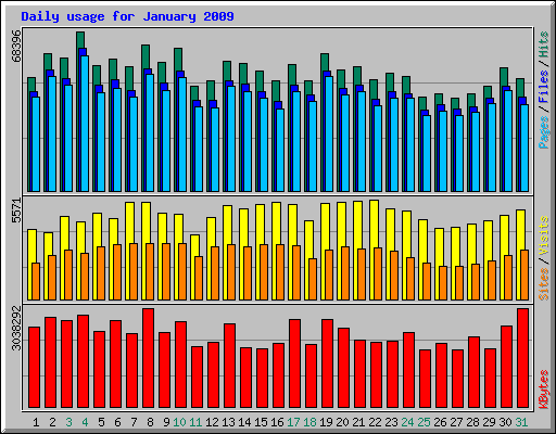 Daily usage for January 2009