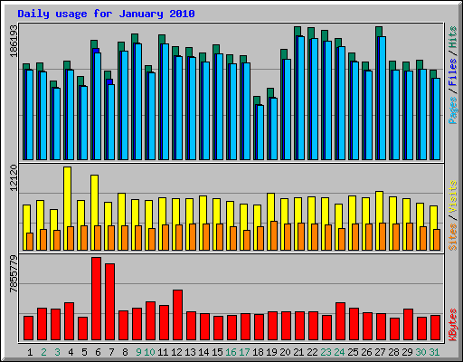 Daily usage for January 2010