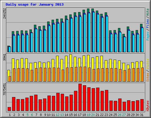 Daily usage for January 2013