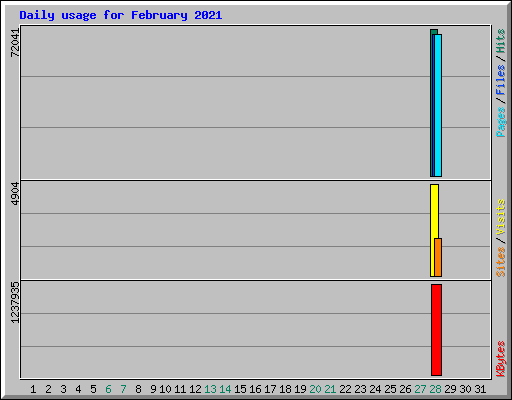 Daily usage for February 2021