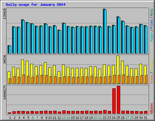 Daily usage for January 2024