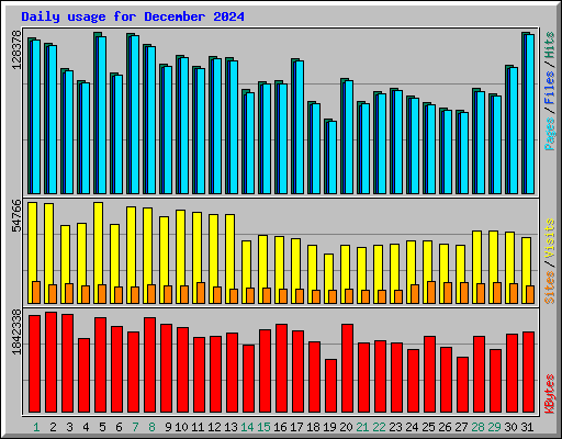Daily usage for December 2024